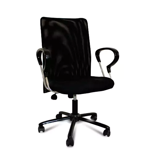 Elitrus Mesh Ergonomic Office Chair in Black Colour