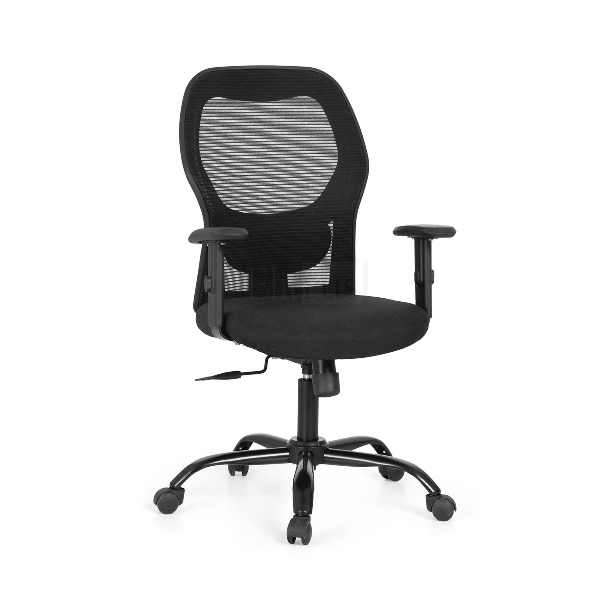 Elitrus Ergonomic Office Chair with Adjustable Arm 