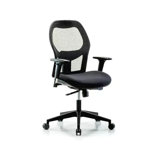 Elitrus Ergonomic Office Chair with Adjustable Arm 