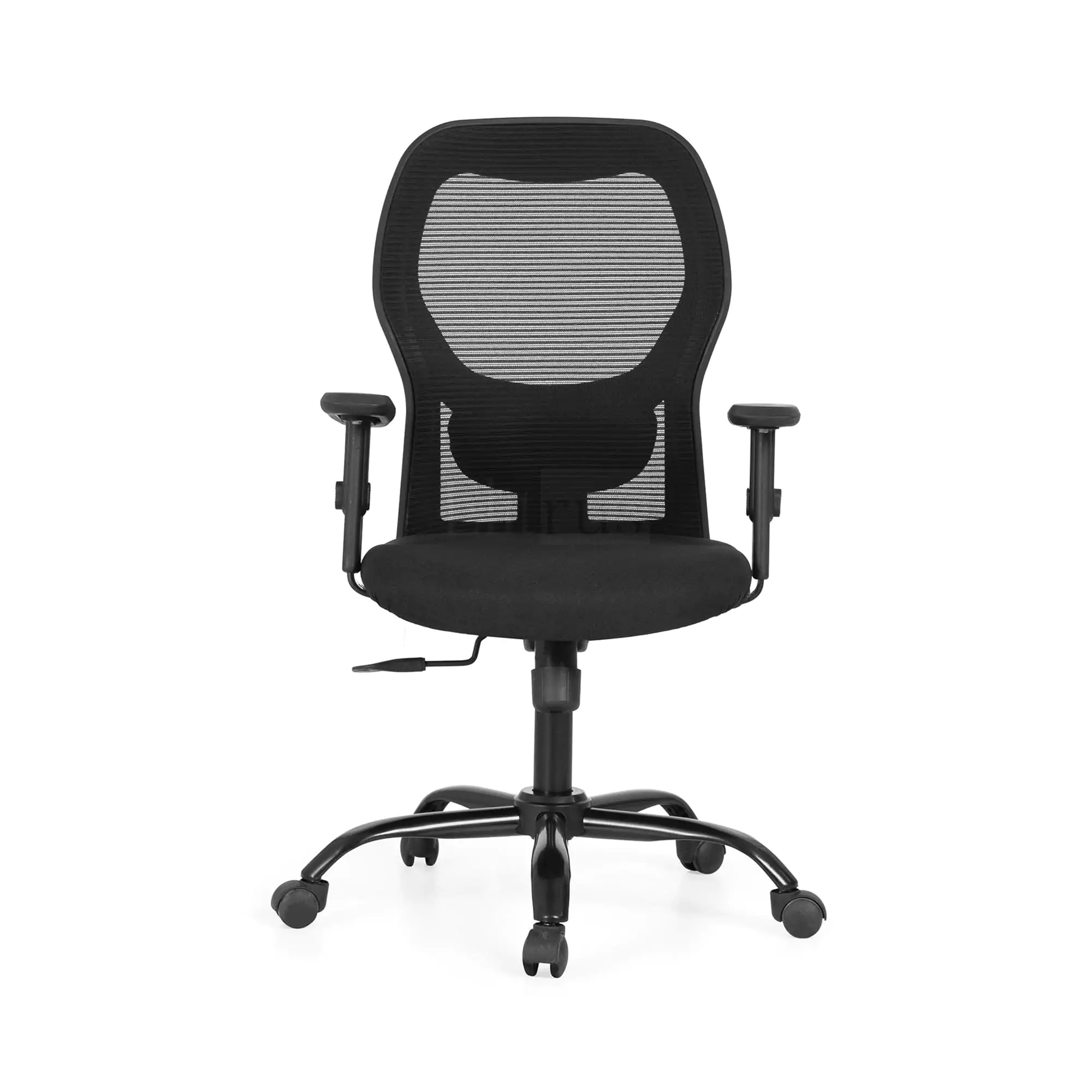 Elitrus Ergonomic Office Chair with Adjustable Arm 